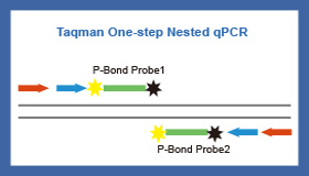 来了，来了，他来了！检测技术的又一法宝——超敏一步巢式Taqman qPCR