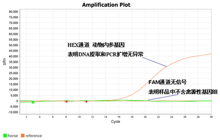 马源性成分检测试剂盒 马源性成分检测试剂盒