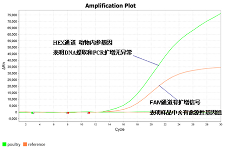 禽源性成分检测试剂盒