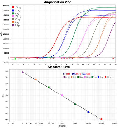 qPCR mix荧光定量PCR Mix