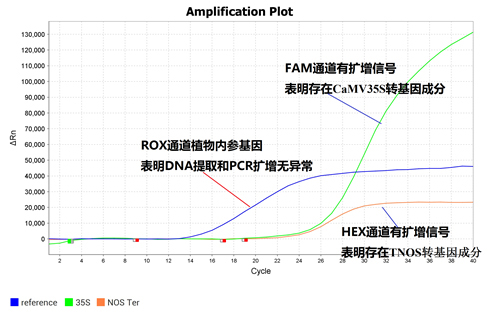 转基因植物检测试剂盒