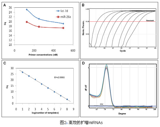 miRNA荧光定量PCR试剂盒