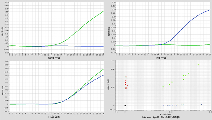 TaqMan基因分型试剂盒