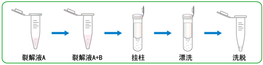 5min极速RNA提取试剂盒