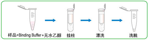 5minRNA纯化试剂盒