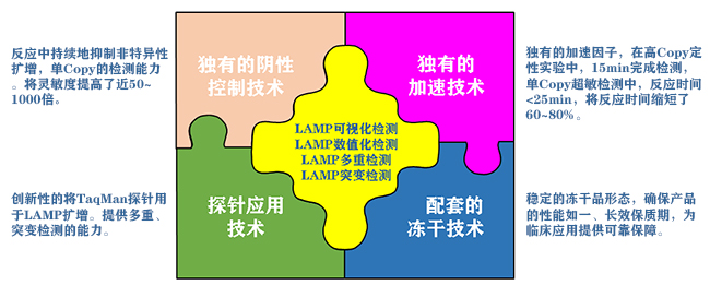 LAMP扩增试剂盒