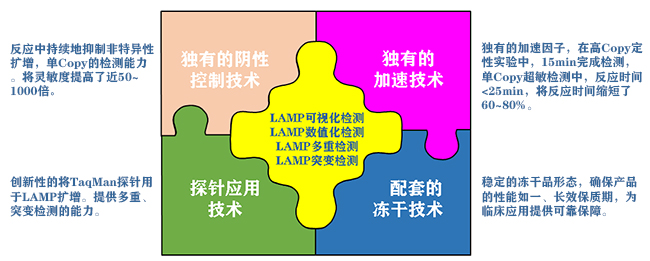 LAMPԼ