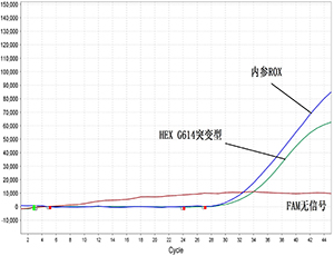 一步巢式Taqman qPCR检测新冠病毒核酸D614G突变