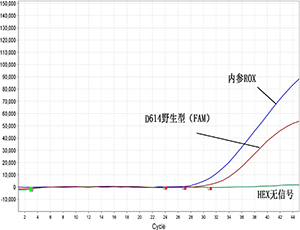 一步巢式Taqman qPCR检测新冠病毒核酸D614G突变