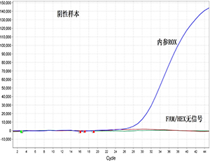 一步巢式Taqman qPCR检测新冠病毒核酸D614G突变