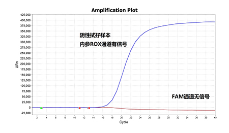 非洲猪瘟核酸检测试剂盒