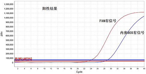 传统Taqman qPCR检测猪瘟病毒核酸