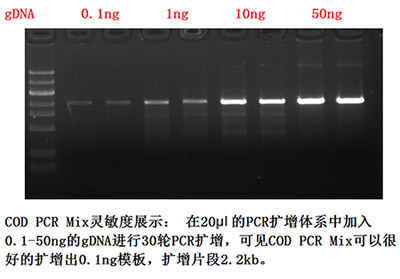 全能型PCR Mix