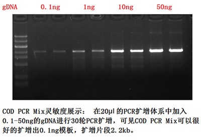 全能型PCR Mix 全能型PCR Mix
