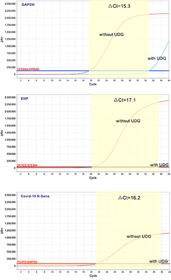 RAPA3G Probe qPCR MasterMix(with UDG)