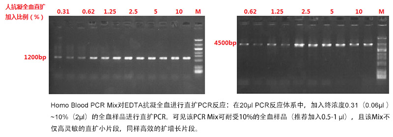 血液直扩PCR Mix