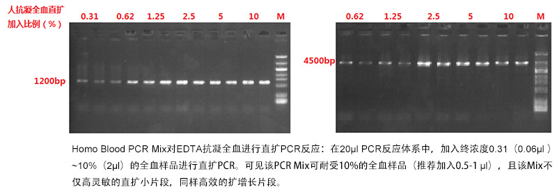 血液直扩PCR Mix 血液直扩PCR Mix