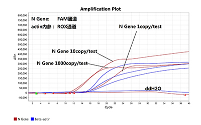 新型冠状病毒核酸检测 新型冠状病毒核酸检测
