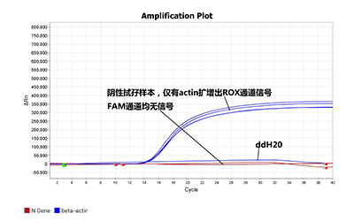 新型冠状病毒核酸检测 新型冠状病毒核酸检测