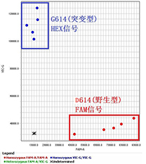 一步巢式Taqman qPCR检测新冠病毒核酸D614G突变