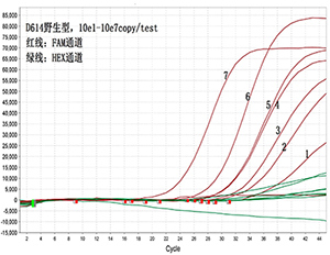 一步巢式Taqman qPCR检测新冠病毒核酸D614G突变