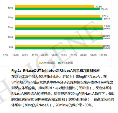 Rnase Inhibitor抑制RnaseA