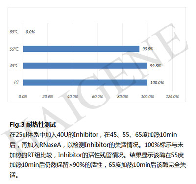 Rnase Inhibitor耐热研究