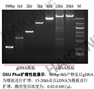 G5U Plus 超高保真DNA聚合酶