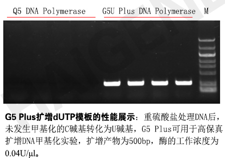 G5U Plus 超高保真DNA聚合酶